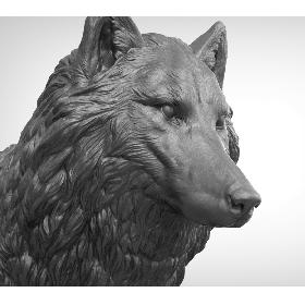 Wolf 3D model